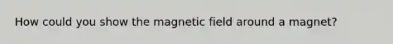 How could you show the magnetic field around a magnet?