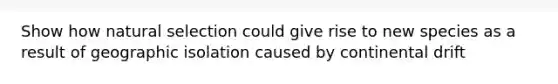 Show how natural selection could give rise to new species as a result of geographic isolation caused by continental drift