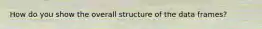 How do you show the overall structure of the data frames?