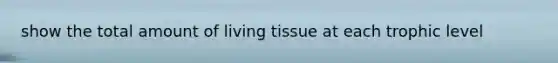 show the total amount of living tissue at each trophic level