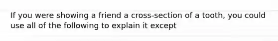 If you were showing a friend a cross-section of a tooth, you could use all of the following to explain it except