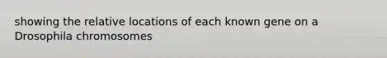 showing the relative locations of each known gene on a Drosophila chromosomes