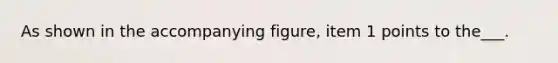 As shown in the accompanying figure, item 1 points to the___.