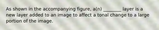 As shown in the accompanying figure, a(n) ________ layer is a new layer added to an image to affect a tonal change to a large portion of the image.