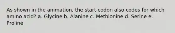 As shown in the animation, the start codon also codes for which amino acid? a. Glycine b. Alanine c. Methionine d. Serine e. Proline