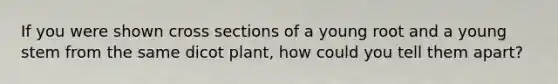 If you were shown cross sections of a young root and a young stem from the same dicot plant, how could you tell them apart?