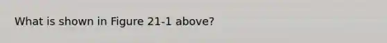 What is shown in Figure 21-1 above?