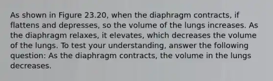 As shown in Figure 23.20, when the diaphragm contracts, if flattens and depresses, so the volume of the lungs increases. As the diaphragm relaxes, it elevates, which decreases the volume of the lungs. To test your understanding, answer the following question: As the diaphragm contracts, the volume in the lungs decreases.