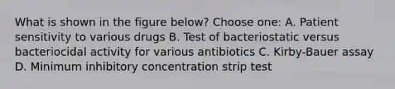 What is shown in the figure below? Choose one: A. Patient sensitivity to various drugs B. Test of bacteriostatic versus bacteriocidal activity for various antibiotics C. Kirby-Bauer assay D. Minimum inhibitory concentration strip test