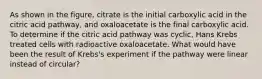 As shown in the figure, citrate is the initial carboxylic acid in the citric acid pathway, and oxaloacetate is the final carboxylic acid. To determine if the citric acid pathway was cyclic, Hans Krebs treated cells with radioactive oxaloacetate. What would have been the result of Krebs's experiment if the pathway were linear instead of circular?