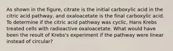 As shown in the figure, citrate is the initial carboxylic acid in the citric acid pathway, and oxaloacetate is the final carboxylic acid. To determine if the citric acid pathway was cyclic, Hans Krebs treated cells with radioactive oxaloacetate. What would have been the result of Krebs's experiment if the pathway were linear instead of circular?