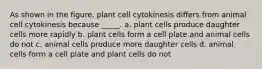 As shown in the figure, plant cell cytokinesis differs from animal cell cytokinesis because _____. a. plant cells produce daughter cells more rapidly b. plant cells form a cell plate and animal cells do not c. animal cells produce more daughter cells d. animal cells form a cell plate and plant cells do not