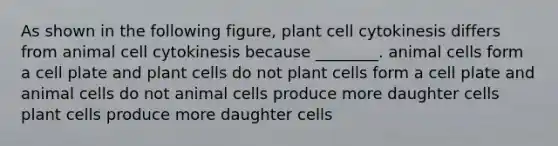 As shown in the following figure, plant cell cytokinesis differs from animal cell cytokinesis because ________. animal cells form a cell plate and plant cells do not plant cells form a cell plate and animal cells do not animal cells produce more daughter cells plant cells produce more daughter cells