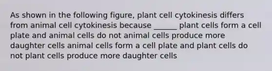 As shown in the following figure, plant cell cytokinesis differs from animal cell cytokinesis because ______ plant cells form a cell plate and animal cells do not animal cells produce more daughter cells animal cells form a cell plate and plant cells do not plant cells produce more daughter cells