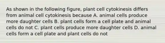 As shown in the following figure, plant cell cytokinesis differs from animal cell cytokinesis because A. animal cells produce more daughter cells B. plant cells form a cell plate and animal cells do not C. plant cells produce more daughter cells D. animal cells form a cell plate and plant cells do not