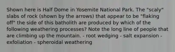 Shown here is Half Dome in Yosemite National Park. The "scaly" slabs of rock (shown by the arrows) that appear to be "flaking off" the side of this batholith are produced by which of the following weathering processes? Note the long line of people that are climbing up the mountain. - root wedging - salt expansion - exfoliation - spheroidal weathering