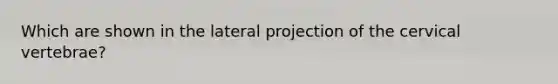 Which are shown in the lateral projection of the cervical vertebrae?