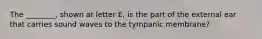 The ________, shown at letter E, is the part of the external ear that carries sound waves to the tympanic membrane?