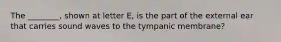 The ________, shown at letter E, is the part of the external ear that carries sound waves to the tympanic membrane?