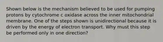 Shown below is the mechanism believed to be used for pumping protons by cytochrome c oxidase across the inner mitochondrial membrane. One of the steps shown is unidirectional because it is driven by the energy of electron transport. Why must this step be performed only in one direction?