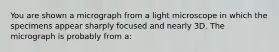 You are shown a micrograph from a light microscope in which the specimens appear sharply focused and nearly 3D. The micrograph is probably from a: