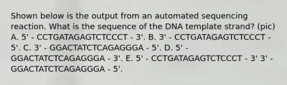 Shown below is the output from an automated sequencing reaction. What is the sequence of the DNA template strand? (pic) A. 5' - CCTGATAGAGTCTCCCT - 3'. B. 3' - CCTGATAGAGTCTCCCT - 5'. C. 3' - GGACTATCTCAGAGGGA - 5'. D. 5' - GGACTATCTCAGAGGGA - 3'. E. 5' - CCTGATAGAGTCTCCCT - 3' 3' - GGACTATCTCAGAGGGA - 5'.