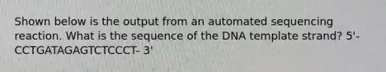 Shown below is the output from an automated sequencing reaction. What is the sequence of the DNA template strand? 5'- CCTGATAGAGTCTCCCT- 3'