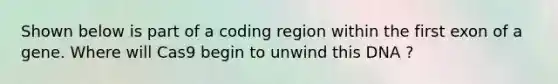 Shown below is part of a coding region within the first exon of a gene. Where will Cas9 begin to unwind this DNA ?