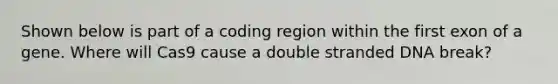 Shown below is part of a coding region within the first exon of a gene. Where will Cas9 cause a double stranded DNA break?