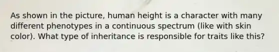 As shown in the picture, human height is a character with many different phenotypes in a continuous spectrum (like with skin color). What type of inheritance is responsible for traits like this?