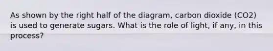 As shown by the right half of the diagram, carbon dioxide (CO2) is used to generate sugars. What is the role of light, if any, in this process?