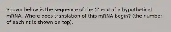 Shown below is the sequence of the 5' end of a hypothetical mRNA. Where does translation of this mRNA begin? (the number of each nt is shown on top).