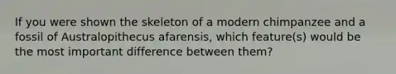 If you were shown the skeleton of a modern chimpanzee and a fossil of Australopithecus afarensis, which feature(s) would be the most important difference between them?