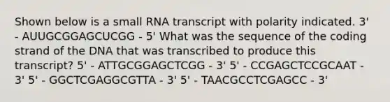 Shown below is a small RNA transcript with polarity indicated. 3' - AUUGCGGAGCUCGG - 5' What was the sequence of the coding strand of the DNA that was transcribed to produce this transcript? 5' - ATTGCGGAGCTCGG - 3' 5' - CCGAGCTCCGCAAT - 3' 5' - GGCTCGAGGCGTTA - 3' 5' - TAACGCCTCGAGCC - 3'