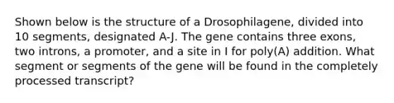 Shown below is the structure of a Drosophilagene, divided into 10 segments, designated A-J. The gene contains three exons, two introns, a promoter, and a site in I for poly(A) addition. What segment or segments of the gene will be found in the completely processed transcript?