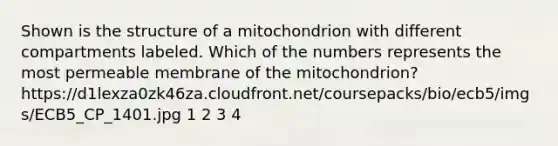 Shown is the structure of a mitochondrion with different compartments labeled. Which of the numbers represents the most permeable membrane of the mitochondrion? https:/d1lexza0zk46za.cloudfront.net/coursepacks/bio/ecb5/imgs/ECB5_CP_1401.jpg 1 2 3 4