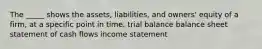 The _____ shows the assets, liabilities, and owners' equity of a firm, at a specific point in time. trial balance balance sheet statement of cash flows income statement