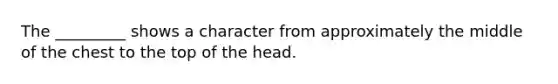 The _________ shows a character from approximately the middle of the chest to the top of the head.