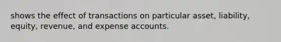 shows the effect of transactions on particular asset, liability, equity, revenue, and expense accounts.