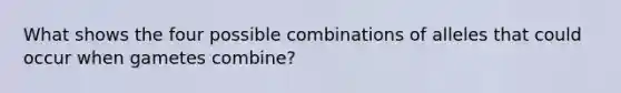 What shows the four possible combinations of alleles that could occur when gametes combine?