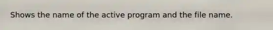 Shows the name of the active program and the file name.