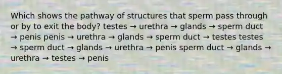 Which shows the pathway of structures that sperm pass through or by to exit the body? testes → urethra → glands → sperm duct → penis penis → urethra → glands → sperm duct → testes testes → sperm duct → glands → urethra → penis sperm duct → glands → urethra → testes → penis