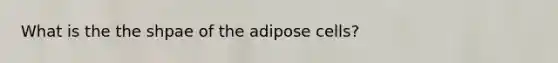 What is the the shpae of the adipose cells?