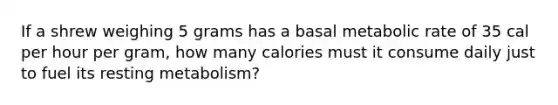 If a shrew weighing 5 grams has a basal metabolic rate of 35 cal per hour per gram, how many calories must it consume daily just to fuel its resting metabolism?