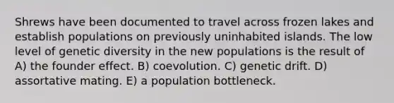 Shrews have been documented to travel across frozen lakes and establish populations on previously uninhabited islands. The low level of genetic diversity in the new populations is the result of A) the founder effect. B) coevolution. C) genetic drift. D) assortative mating. E) a population bottleneck.