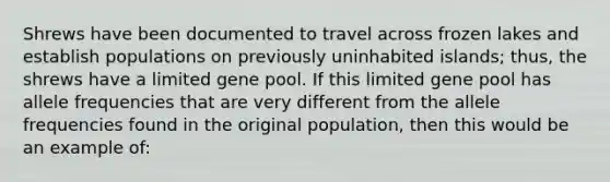 Shrews have been documented to travel across frozen lakes and establish populations on previously uninhabited islands; thus, the shrews have a limited gene pool. If this limited gene pool has allele frequencies that are very different from the allele frequencies found in the original population, then this would be an example of: