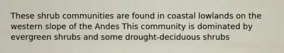 These shrub communities are found in coastal lowlands on the western slope of the Andes This community is dominated by evergreen shrubs and some drought-deciduous shrubs