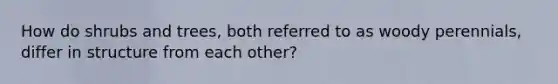 How do shrubs and trees, both referred to as woody perennials, differ in structure from each other?