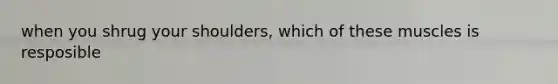 when you shrug your shoulders, which of these muscles is resposible