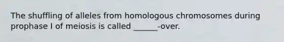 The shuffling of alleles from homologous chromosomes during prophase I of meiosis is called ______-over.